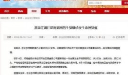 八村最新爆料消息新闻报道,揭秘背后惊人真相！”