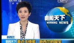 央视新闻爆料有效果,重大突破引发社会关注