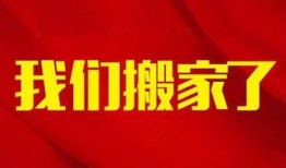 晚安头条最新爆料新闻,最新爆料新闻背后的惊人真相