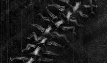 电影人体蜈蚣2在线观看,惊悚续集，生死较量再升级