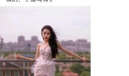 内娱大瓜爆料鹿晗视频,内娱大瓜背后的真相揭秘