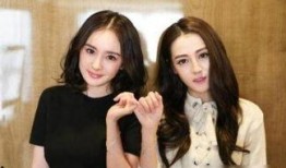 娱乐圈爆料包子小说女主,包子小说女主的逆袭之路