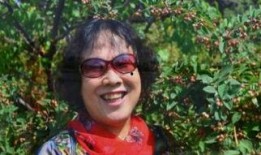 田在线观看,揭秘热门剧集背后的精彩故事