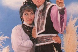 天涯爆料杨康视频播放在线观看,杨康视频在线播放，揭秘幕后真相