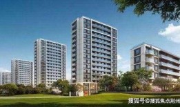 郑州蓝城最新事件爆料信息,揭秘最新爆料背后的真相与争议