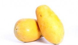 吃瓜的台湾网红叫什么,台湾网红“吃瓜达人”揭秘娱乐圈幕后故事