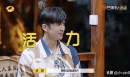 爆料娱乐圈敖子逸,爆料背后的成长与蜕变