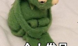 网红青蛙吃瓜表情包,网络新宠，萌态十足