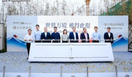 未来之翼最新爆料电话,神秘电话揭示惊天秘密