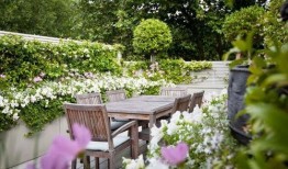 家庭花园爆料视频全集,揭秘绿色生活背后的秘密与惊喜