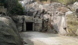 狮子山爆料时间最新,揭秘最新热点事件背后的真相