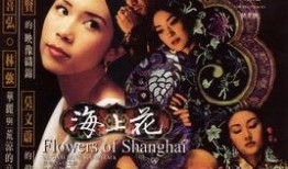 海上花在线观看,穿越时空的浪漫传奇