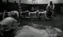 电影人体蜈蚣2在线观看,惊悚续集，生死较量再升级