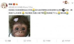 杨紫最新爆料贴微博,揭秘娱乐圈幕后故事