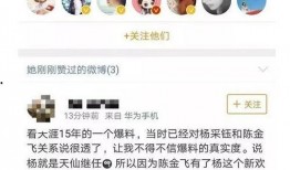 天涯爆料抓人了吗最新视频,抓人进展揭秘，真相即将揭晓