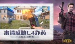 和平精英奇葩人爆料视频,揭秘奇葩人爆料视频，笑料百出引网友热议