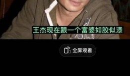 王杰加拿大爆料视频播放,揭秘娱乐圈背后真相