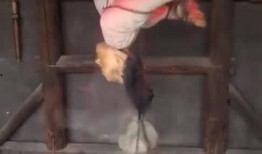 满清酷刑在线观看,在线观看带你领略古代刑罚的残酷与无情