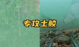 最新钓鱼爆料配方,独家爆料配方大公开！