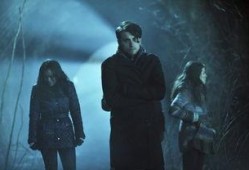 逍遥法外 在线观看,在线观看，揭秘犯罪世界的惊险冒险