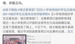 武陟网红爆料事件真相最新,真相大白，网络舆论的力量与责任
