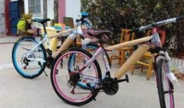 郑州自行车爆料视频最新,揭秘城市交通新现象