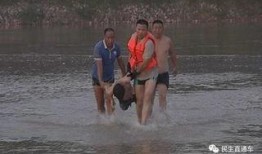 爆料游泳溺亡事件视频,游泳溺亡事件视频曝光，警示安全意识刻不容缓