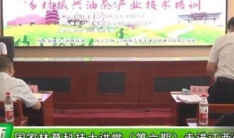 今日茶叶爆料新闻,今日热点事件深度解析