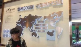 本地人爆料林越洲视频,本地人视角下的真实故事