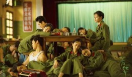 芳华完整版在线观看,致敬青春，岁月如歌的深情回忆