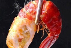 小龙虾冻虾爆料视频大全,视频大全带你探秘美食背后的秘密