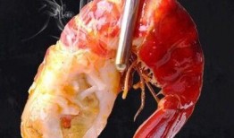 小龙虾冻虾爆料视频大全,视频大全带你探秘美食背后的秘密