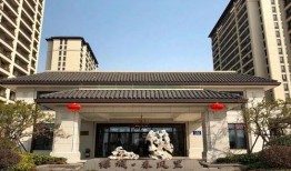 本地人爆料林越洲视频,本地人视角下的真实故事