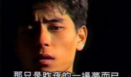 王杰加拿大爆料视频播放,揭秘娱乐圈背后真相