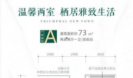 温岭一小区爆料新闻视频,业主爆料视频揭露惊人真相