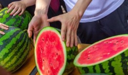 曹县吃瓜今日爆料,揭秘网络爆料的背后真相