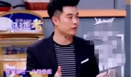 陈赫爆料的娱乐节目,娱乐节目背后的真实故事