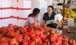 最新吃瓜爆料河北新闻网,最新吃瓜事件揭秘