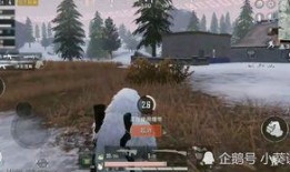 和平精英后续载具最新爆料,神秘造型引热议，未来战场将有何新变化？