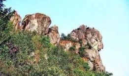 狮子山爆料时间最新,揭秘最新热点事件背后的真相