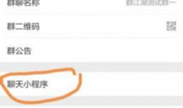 今日独家爆料小程序下载,今日爆款小程序下载攻略，一触即达！