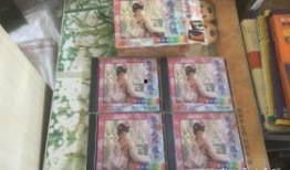 杨贵妃宫雪花在线观看,杨贵妃传奇，在线重温绝代风华